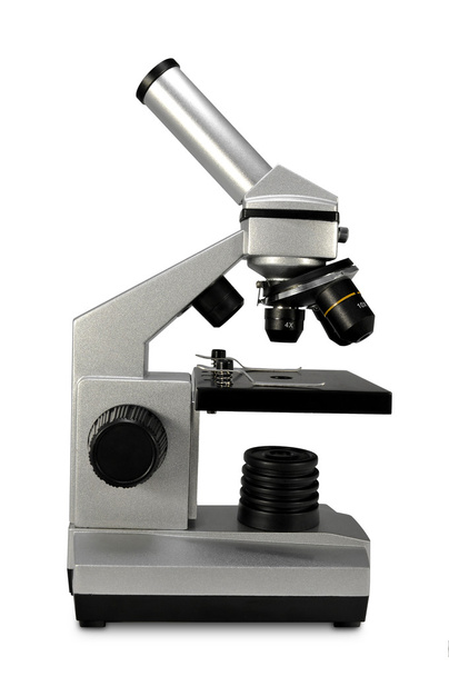 Mikroskooppi - Valokuva, kuva