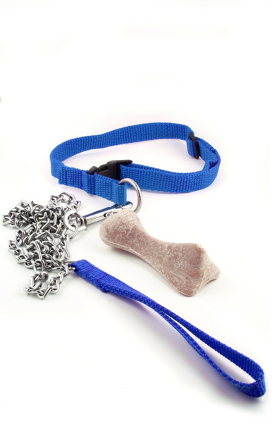 Dog leash and bone - Photo, Image