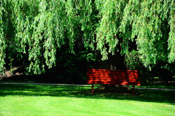 Yeşil doğa kırmızı tezgah - Fotoğraf, Görsel