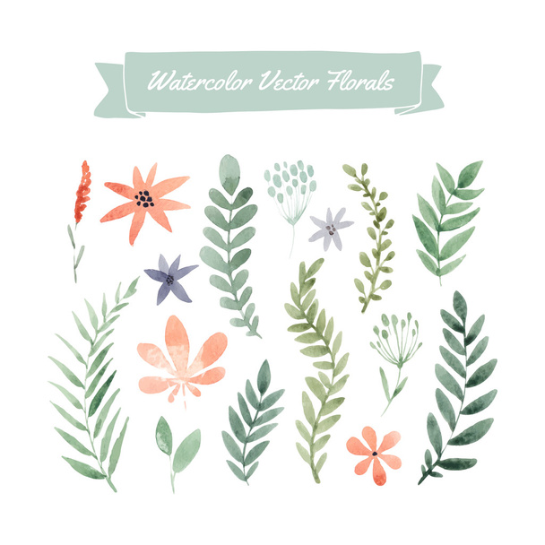 watercolor  flowers and leaves - Vector, Image