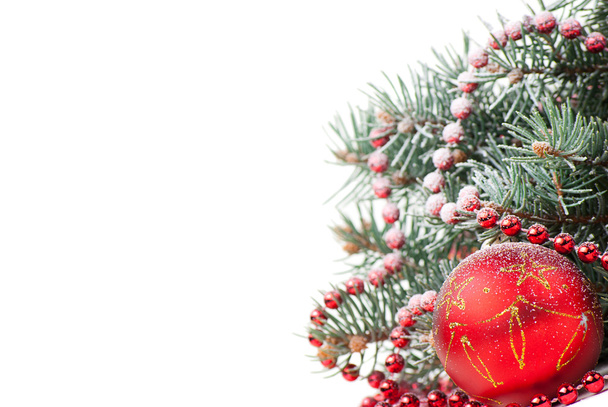 Christmas decorations with branch of tree on white - Valokuva, kuva
