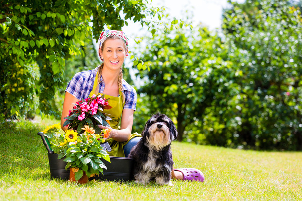 Woman in garden with flowers and pet dog - Photo, Image