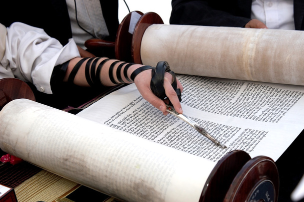 Reading the Torah - Photo, Image