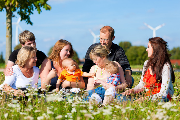 Family and multi-generation - fun on meadow in summer - Photo, Image