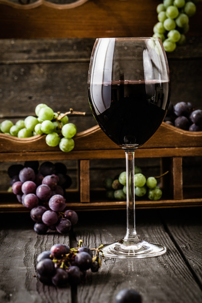 Fresh grapes - Фото, зображення