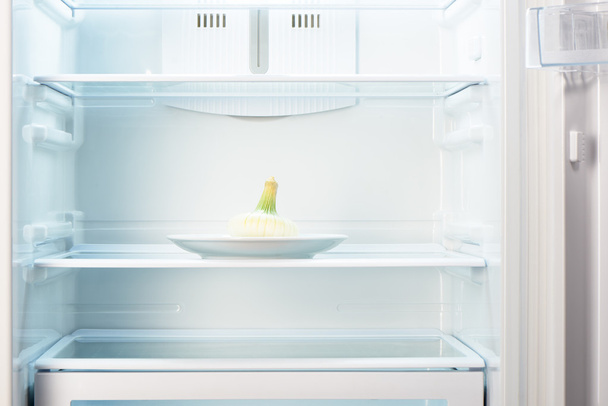 White onion on white plate in open empty refrigerator - Zdjęcie, obraz