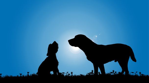 silhouette nera di cani
 - Vettoriali, immagini