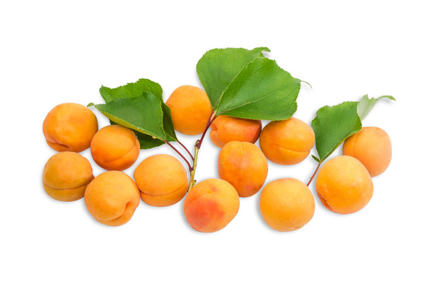 Plusieurs abricots mûrs et une branche aux feuilles rapprochées
 - Photo, image