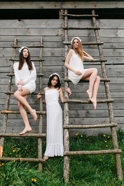 three beautiful girls - Valokuva, kuva