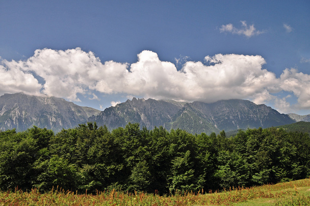 Horská krajina v Karpatských horách, Rumunsko. - Fotografie, Obrázek