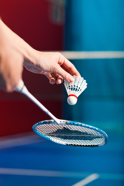 Sport de badminton en salle de sport - main avec volant
 - Photo, image