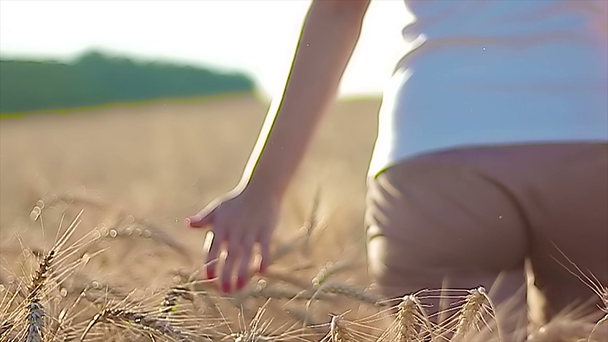 Dziewczyna na polu zbóż - Materiał filmowy, wideo