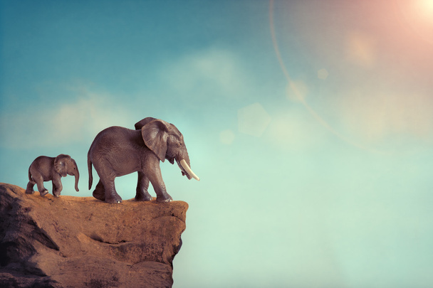 kihalás koncepció elefánt család szélén szikla - Fotó, kép