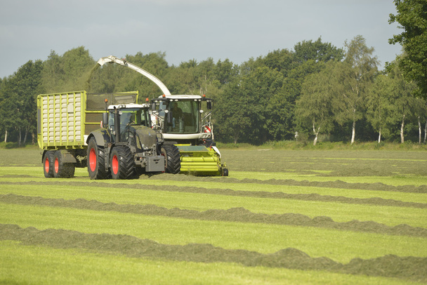 Sklízeč píce a dopravu trávy s zelený traktor - Fotografie, Obrázek