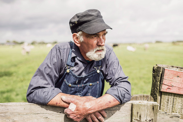 Elderly farmer surveying his farmland - Zdjęcie, obraz