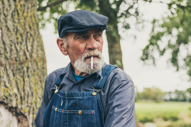 Senior country farmer smoking - Fotoğraf, Görsel