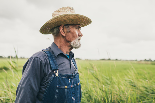 Thoughtful Senior Farmer with Straw Hat - Foto, Imagem