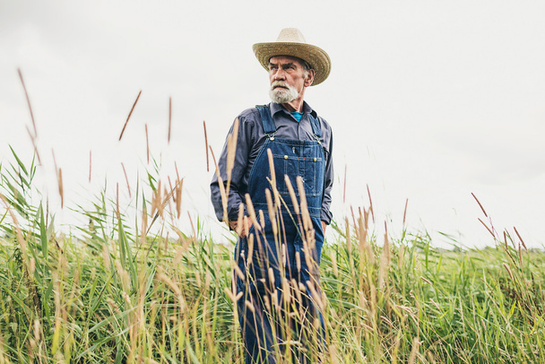 Senior Male Farmer with Hat - Zdjęcie, obraz