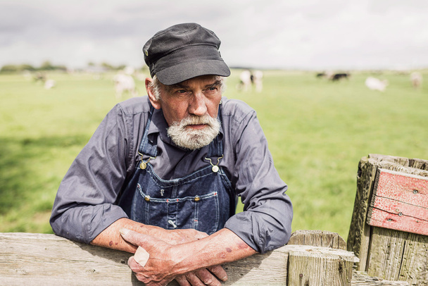 Elderly farmer surveying his farmland - Foto, imagen