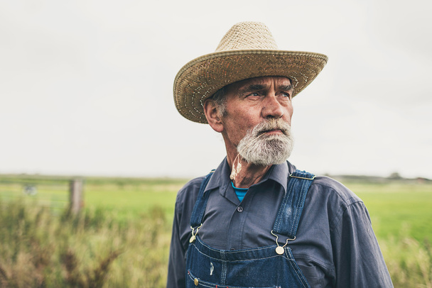 Пенсионер на ферме
 - Фото, изображение