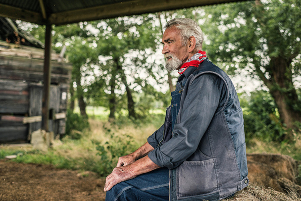 Elderly bearded farmer taking rest - Fotoğraf, Görsel