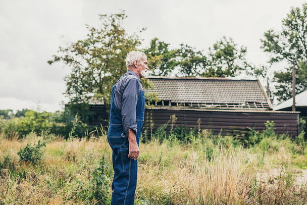 Senior Farmer Looking to Distance - Foto, Bild