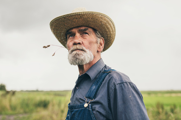 Задумчивый старший фермер жует траву
 - Фото, изображение