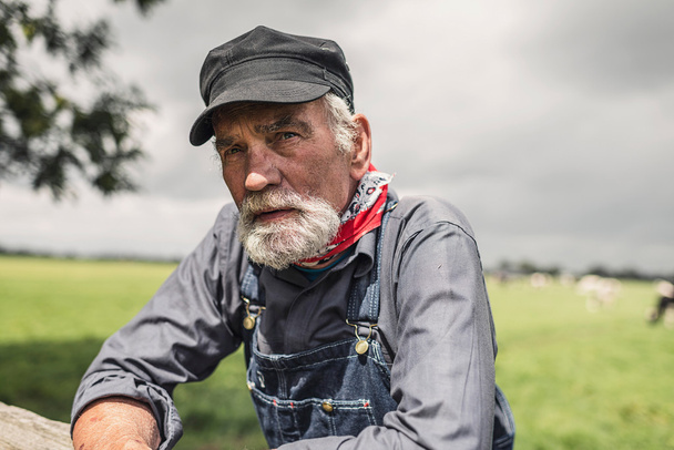 Elderly farmer leaning on paddock fence - 写真・画像