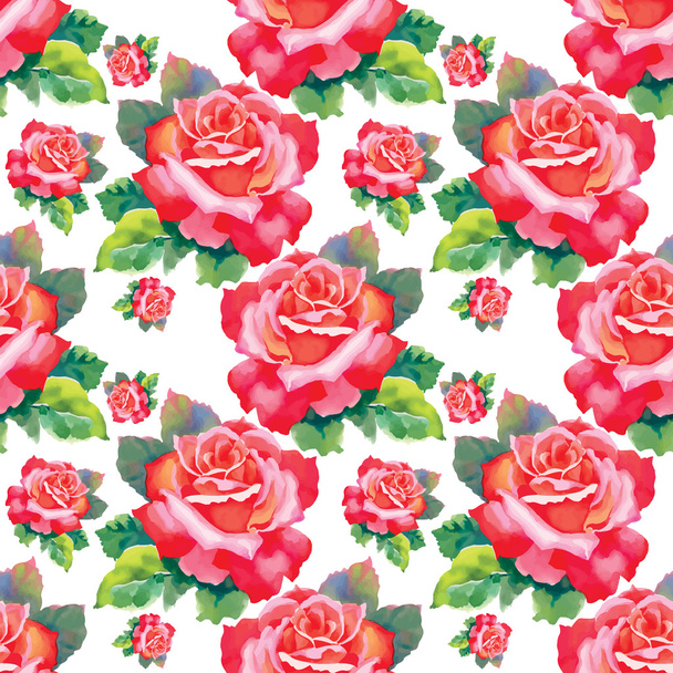watercolor roses  flowers - Vetor, Imagem