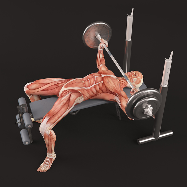 Bodybuilding gym uitoefening. Brede greep barbell bench press. Borst spiergroep - Foto, afbeelding