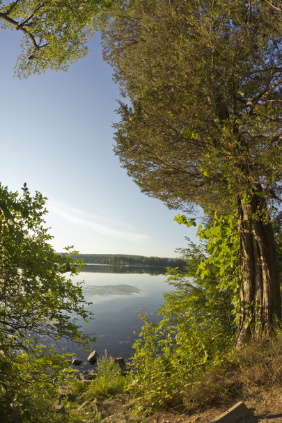 Lake Forest Dusk - Photo, Image