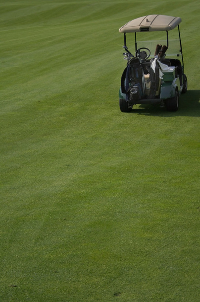 Переднее колесо Golf Cart
 - Фото, изображение