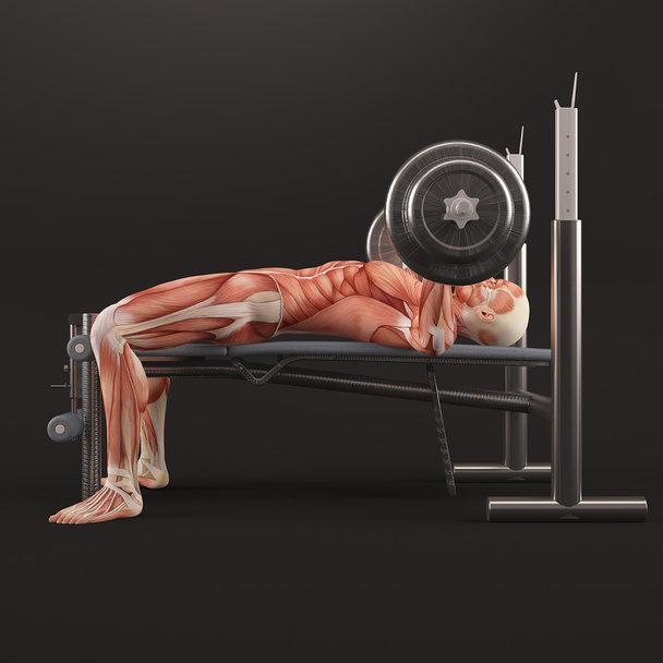 Bodybuilding-Gymnastik. Hantelbank mit breitem Griff. Brustmuskelgruppe. schwarzer Hintergrund, Seitenansicht - Foto, Bild