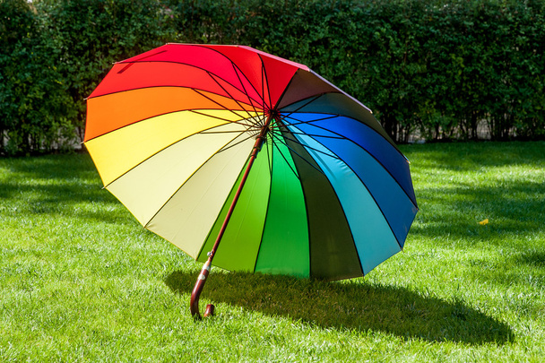 Regenbogenfarbener Regenschirm auf dem Rasen - Foto, Bild
