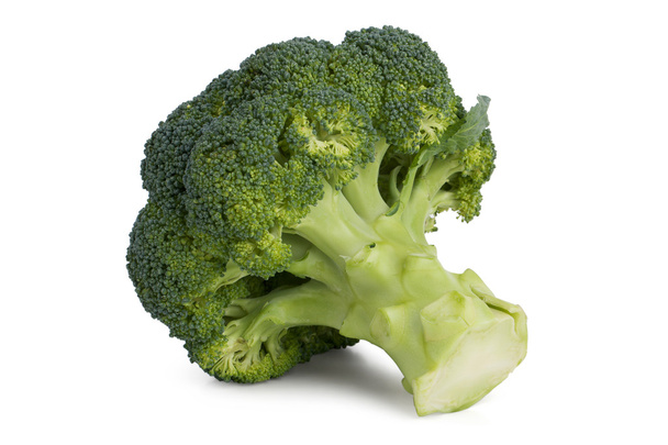 Bunch of broccoli-like branching green tree - Фото, изображение