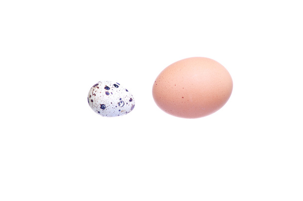 Huevo de pollo versus huevos de codorniz aislados en blanco (Business Concep
 - Foto, Imagen