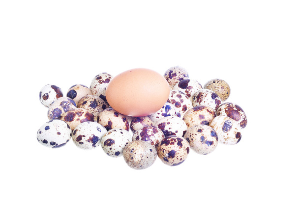 Tyúk tojás át fürjtojás elszigetelt fehér (üzleti koncepció  - Fotó, kép