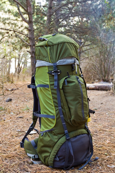 Green touristic backpack in a forest - Zdjęcie, obraz