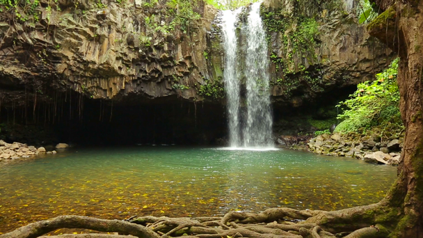 Cachoeira tropical
 - Filmagem, Vídeo