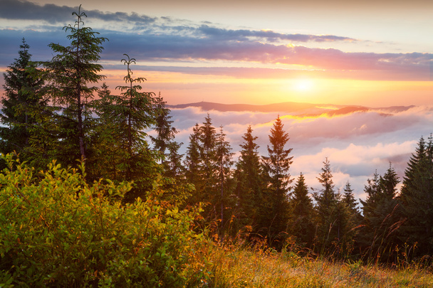 Auringonnousu Karpaattien vuorilla - Valokuva, kuva