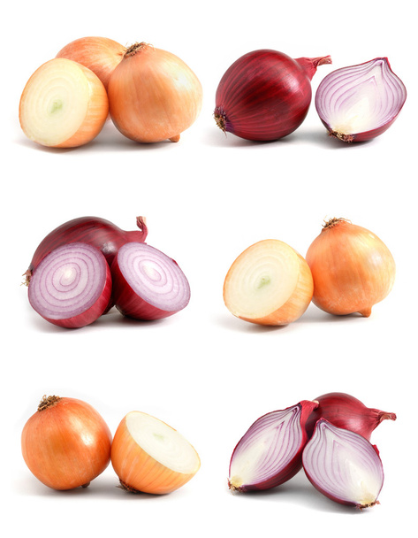 Onions collection - Photo, Image