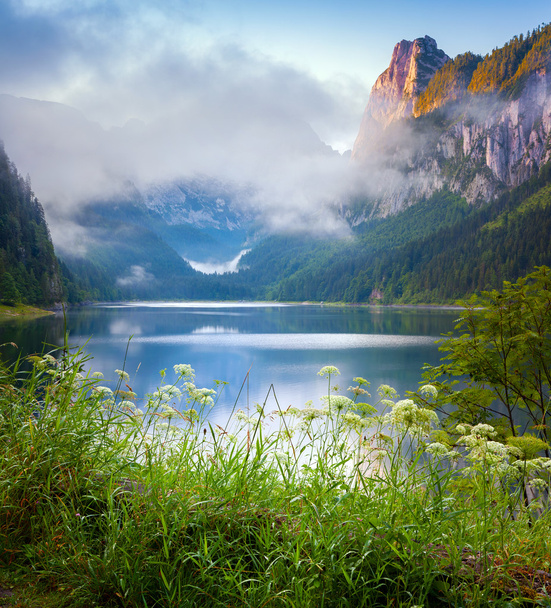 Vorderer Gosausee lac - Photo, image