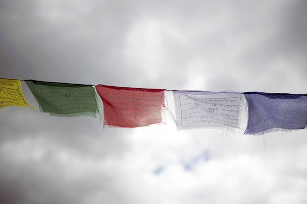 clolorful 仏教の祈りの旗の飛行  - 写真・画像