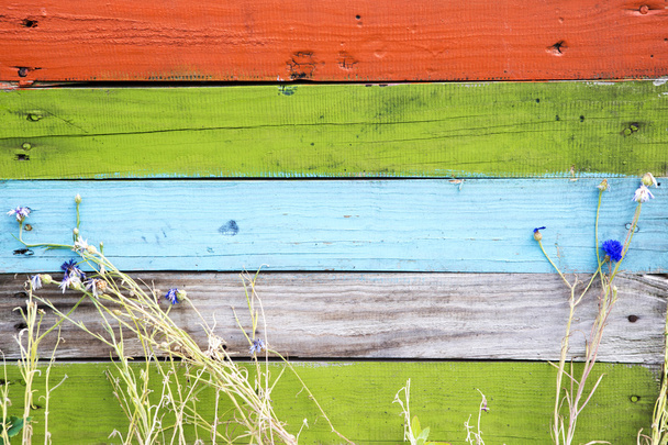barevný dřevěný plot s trávou a květinami - Fotografie, Obrázek