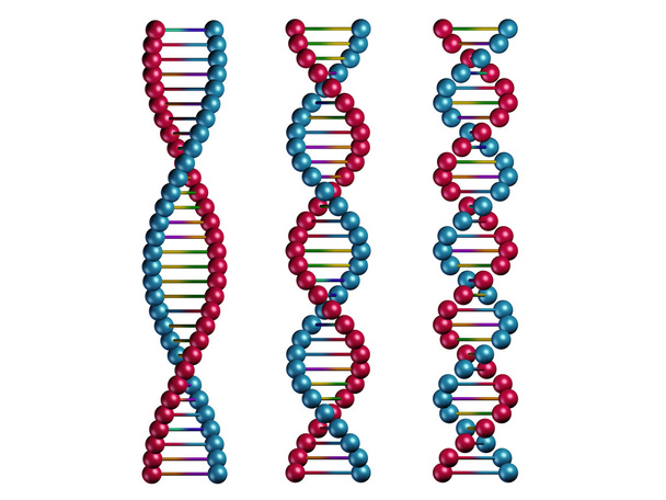 Valkoista taustaa vasten eristetyt DNA-ketjut
 - Valokuva, kuva