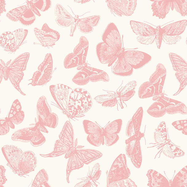 μοτίβο πεταλούδας - Διάνυσμα, εικόνα