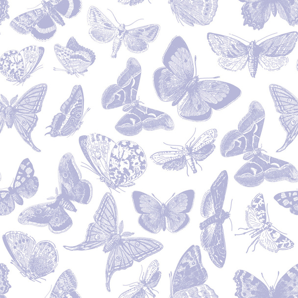 Butterfly Pattern - Vektor, kép