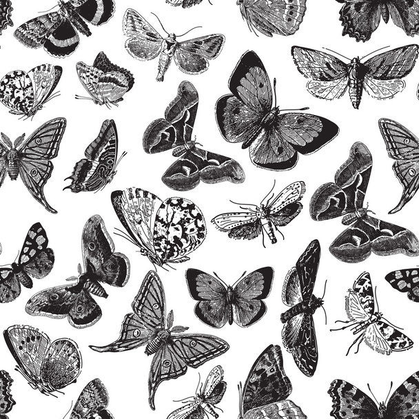 Butterfly Pattern - Вектор, зображення