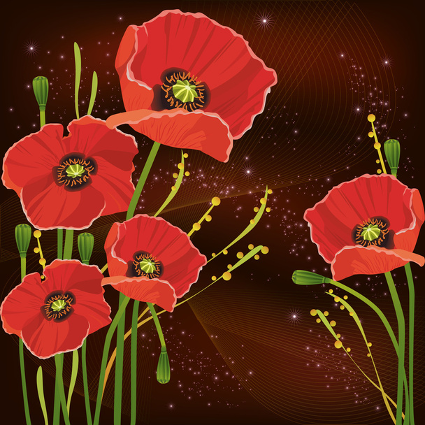 Beautiful red poppies background - Vector, Image
