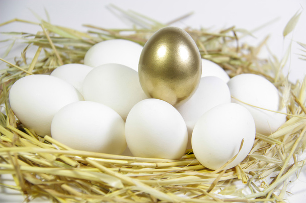 Золотое яйцо - Фото, изображение